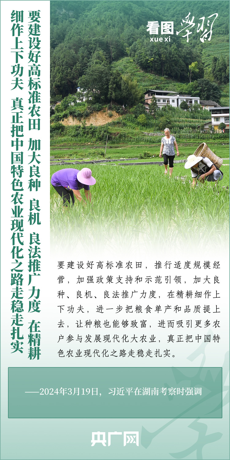 看圖學習丨推廣良田、良種、良法、良機 給農(nóng)業(yè)現(xiàn)代化插上科技的翅膀