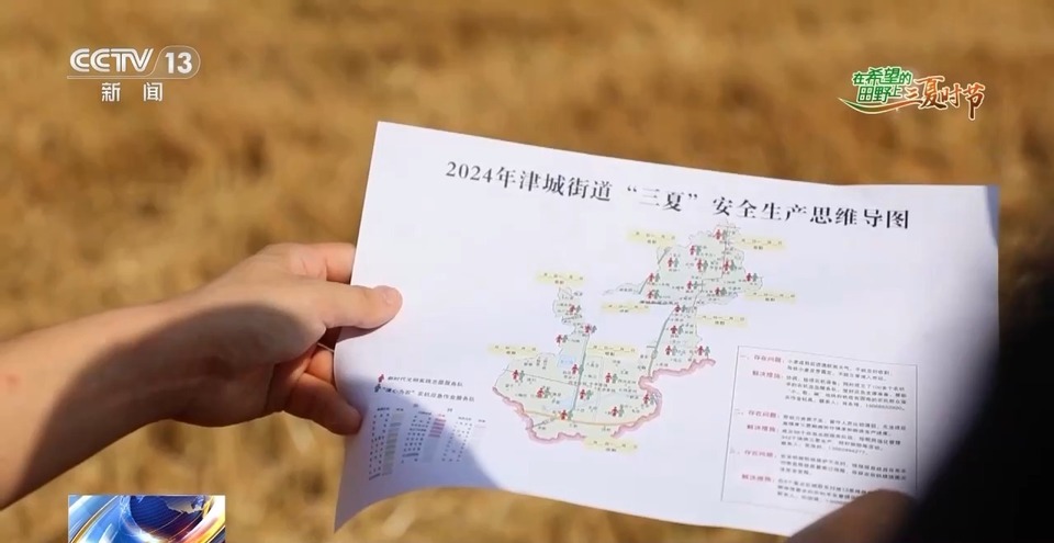 “三夏”生產思維導圖安排上了！還有政府大院等你來“曬”