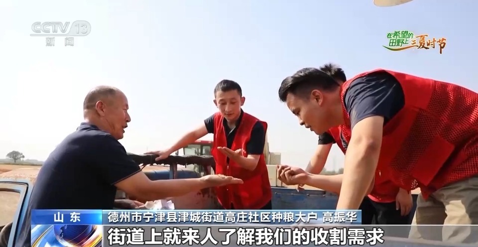 “三夏”生產思維導圖安排上了！還有政府大院等你來“曬”