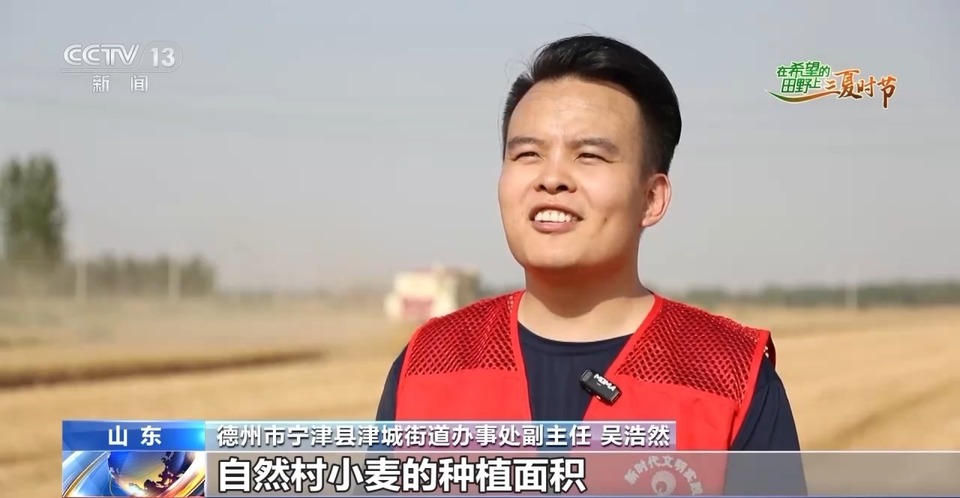 “三夏”生產思維導圖安排上了！還有政府大院等你來“曬”