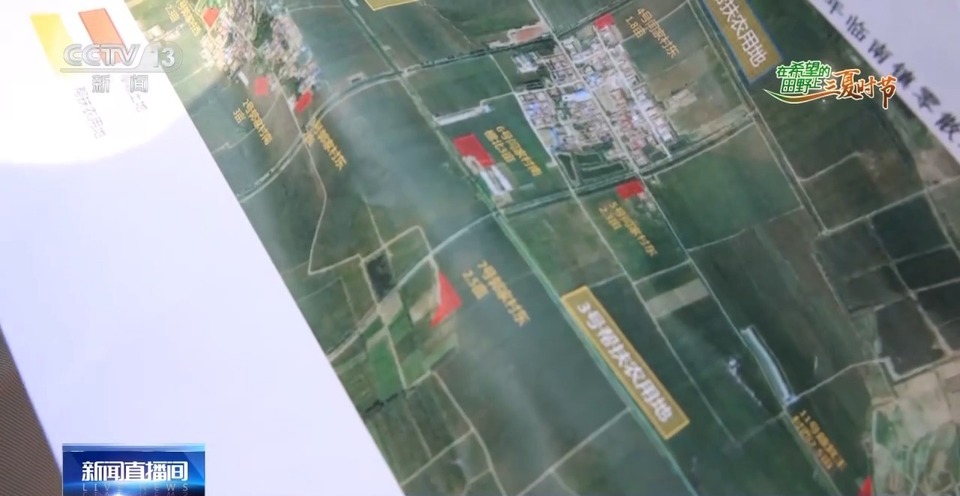 “三夏”生產思維導圖安排上了！還有政府大院等你來“曬”