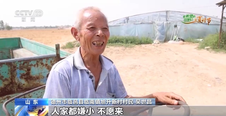 “三夏”生產思維導圖安排上了！還有政府大院等你來“曬”