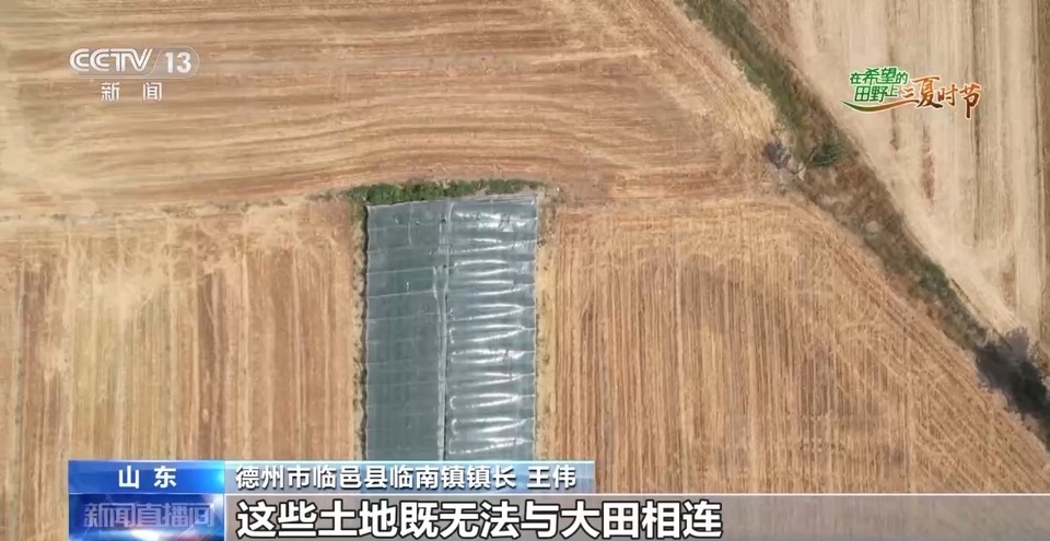 “三夏”生產思維導圖安排上了！還有政府大院等你來“曬”