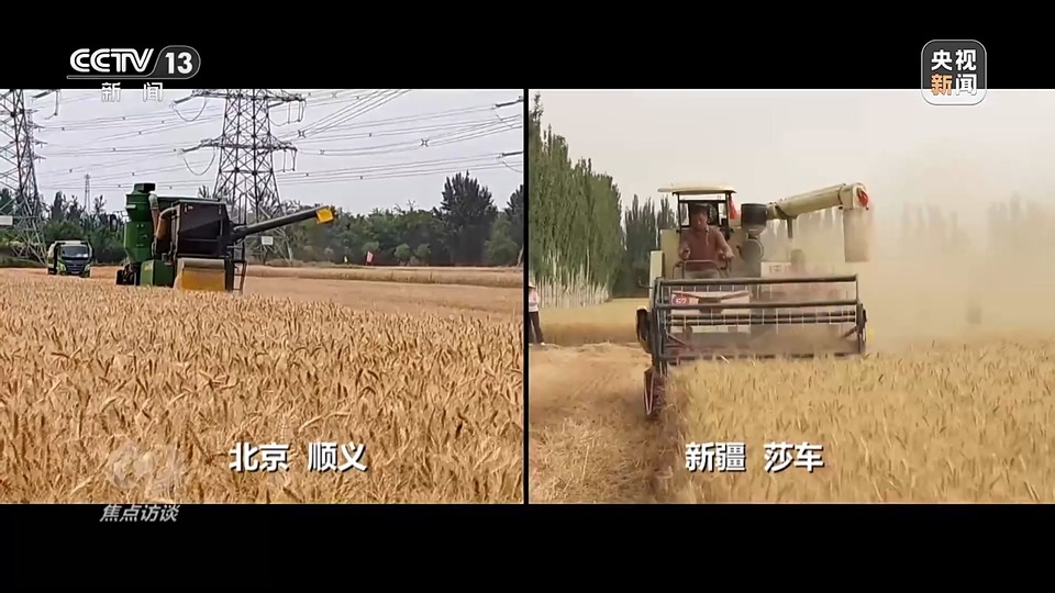 焦點訪談丨一粒良種 萬擔好糧 探索農(nóng)作物高產(chǎn)高質(zhì)“新密碼”