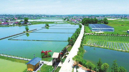 近年來(lái)，大成橋鎮(zhèn)堅(jiān)持加強(qiáng)黨對(duì)鄉(xiāng)村治理的集中統(tǒng)一領(lǐng)導(dǎo)，該鎮(zhèn)鄉(xiāng)村治理模式入選第二批全國(guó)鄉(xiāng)村治理典型案例。圖為美麗的大成橋鎮(zhèn)。（資料圖片）