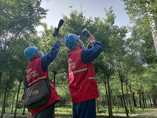 工作人員進行紅外測溫及超聲波局部放電檢測。 王亮攝