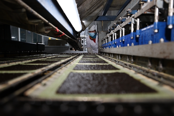 柘汪紫菜產(chǎn)業(yè)園內(nèi)入駐企業(yè)的紫菜生產(chǎn)線。贛榆區(qū)委宣傳部供圖