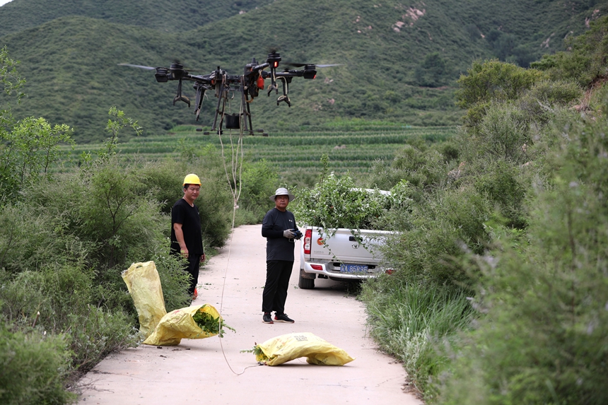 在石家莊市井陘縣吳家窯鄉(xiāng)長峪村荒山造林現(xiàn)場，一名無人機(jī)手操控?zé)o人機(jī)運(yùn)輸樹苗。王保龍攝