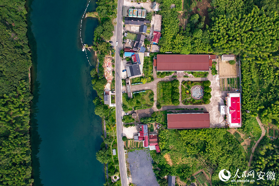 儲(chǔ)家灘民宿區(qū)。人民網(wǎng)記者 苗子健攝