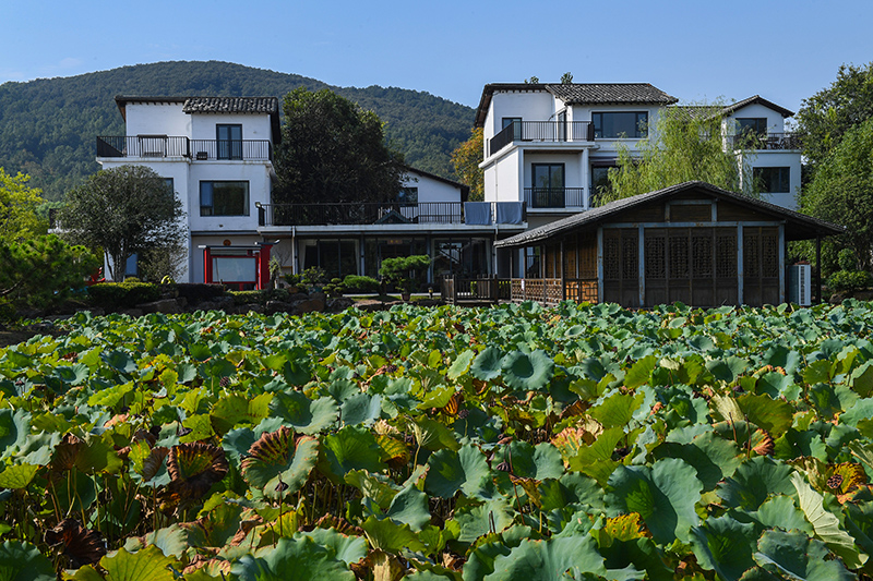雨悅山房負(fù)責(zé)人原來在馬達(dá)加斯加打理酒店，之所以“從馬達(dá)加斯加到肥東”，源于對家鄉(xiāng)民宿前景看好。吳芳攝