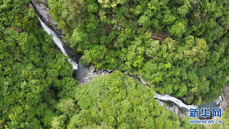 (在習近平新時代中國特色社會主義思想指引下——新時代新作為新篇章·習近平總書記關(guān)切事·圖文互動)(6)長三角的新答卷——“十三五”收官之年的長三角一體化新故事