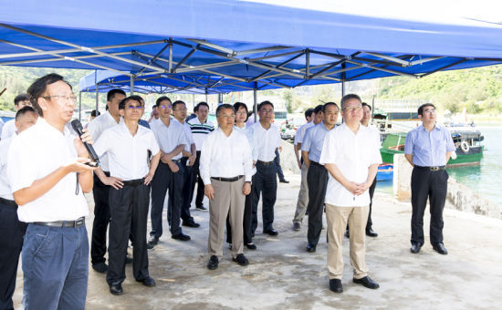 2019年6月21日上午，省長(zhǎng)沈曉明率省政府班子成員在三亞鐵爐港調(diào)研項(xiàng)目規(guī)劃建設(shè)情況。海南日?qǐng)?bào)記者 宋國(guó)強(qiáng) 攝