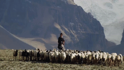 你看了嗎？藏語版《日光之城》“含金量”還在上升！