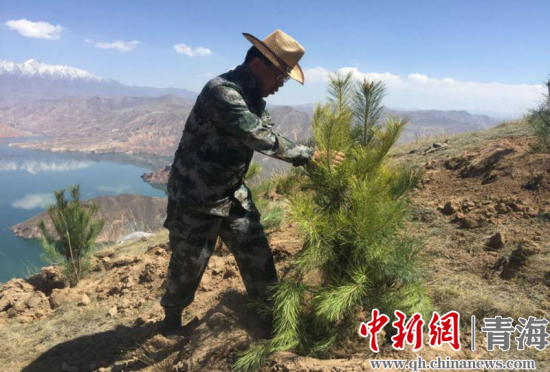 圖為尖扎干部職工生態(tài)建設(shè)和環(huán)境保護現(xiàn)場。尖宣 供圖