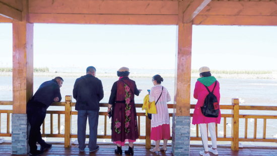 湟魚洄游奇觀吸引游人。