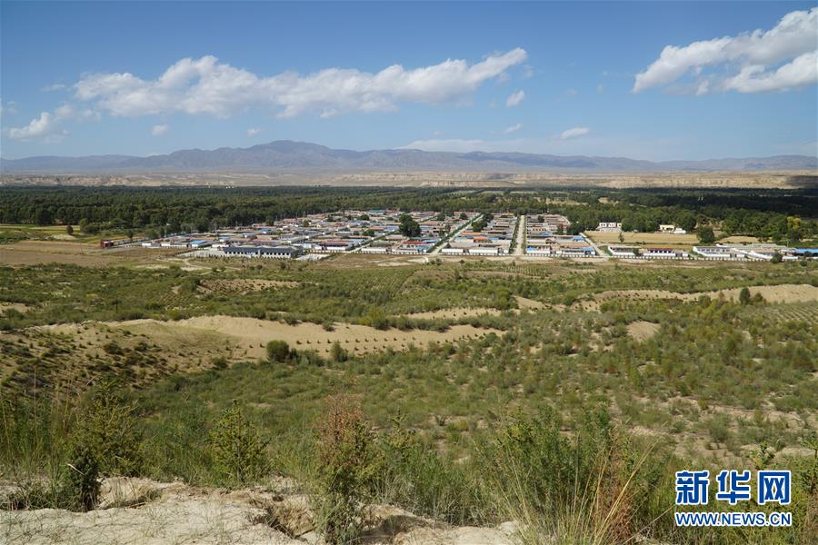 （決戰(zhàn)決勝脫貧攻堅·圖文互動）（2）高原鄉(xiāng)鎮(zhèn)沙珠玉 治沙斗貧成“綠?！薄嗪Ｊ」埠涂h沙珠玉鄉(xiāng)采訪見聞