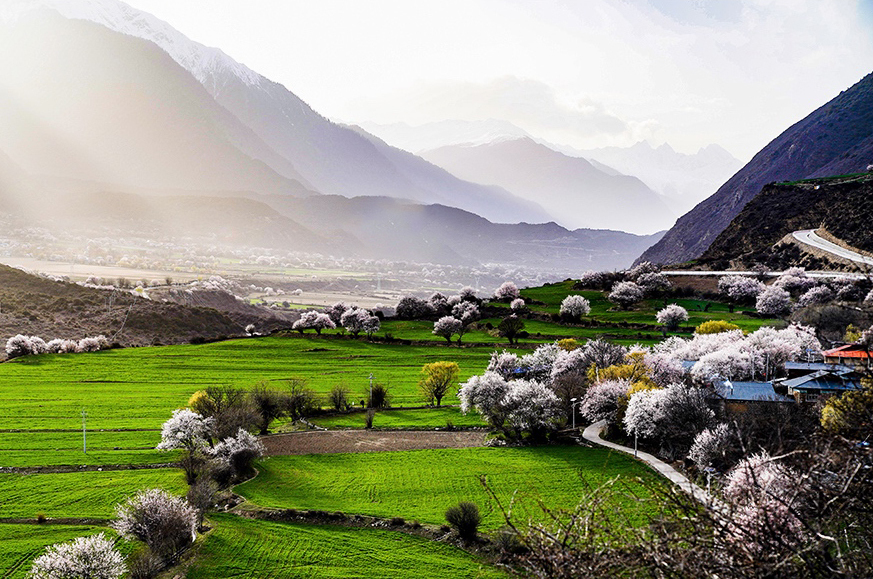 西藏林芝市波密縣傾多鎮(zhèn)八朵卡的田園風(fēng)光（攝于4月5日）。新華網(wǎng) 達(dá)娃攝.jpg