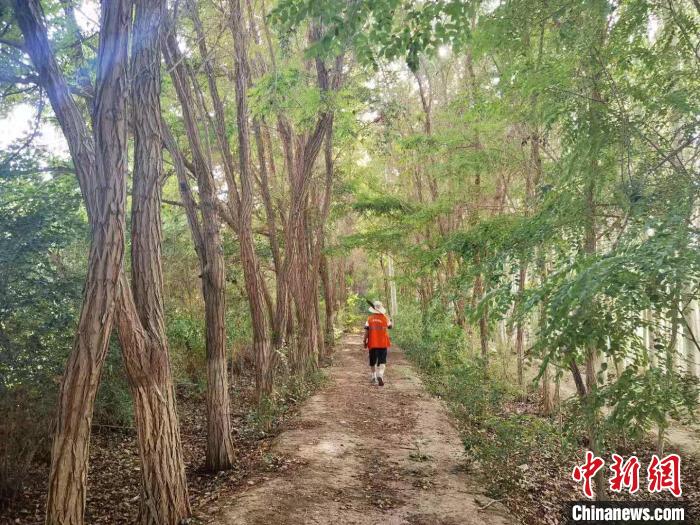 戈壁灘上的護林員：以前風(fēng)吹睜不開眼，現(xiàn)在滿眼皆綠色