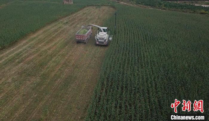 甘肅盤(pán)國(guó)土資源“家底”以成果為基數(shù)守耕地保護(hù)“紅線(xiàn)”