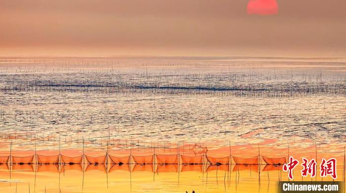 江蘇鹽城被譽為金灘銀蕩、魚米之鄉(xiāng)?！←}城市委宣傳部供圖