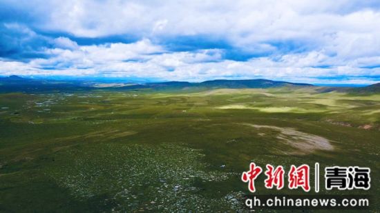 圖為長(zhǎng)江南源沼澤濕地。李江寧攝