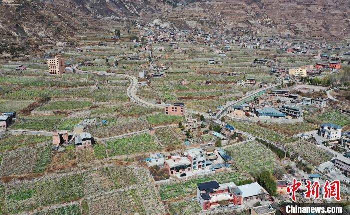 潔白的李花與村寨交相輝映，勾勒出一幅美麗的和諧生態(tài)畫卷?！『吻搴?攝