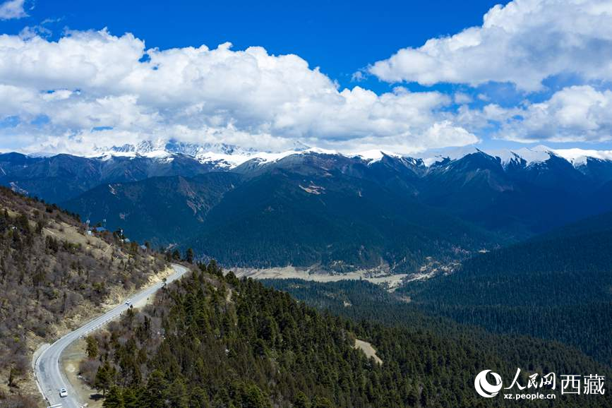 圖為在海拔4700多米的色季拉山，觀測(cè)從森林到草甸的多種植被類型。