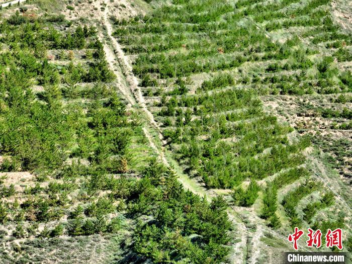 航拍建行青海省分行綠化區(qū)?！∑钤鲚?攝