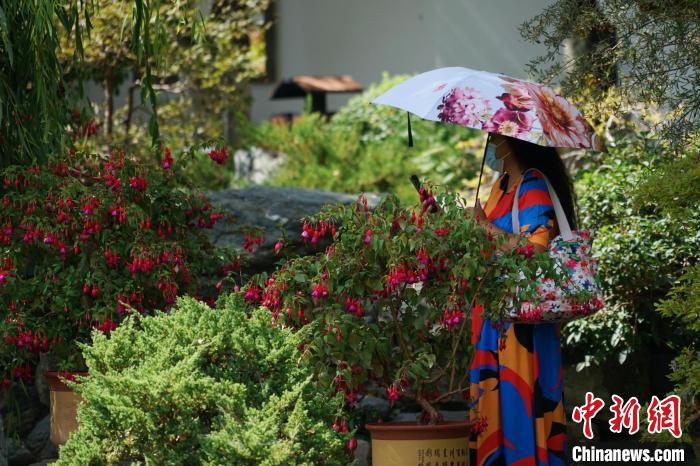 圖為市民在西寧園林植物園內(nèi)賞花拍照?！●R銘言 攝