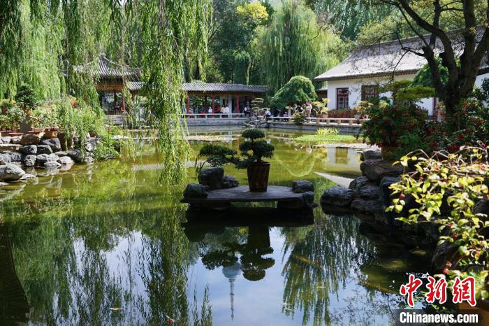 圖為西寧園林植物園秋日風(fēng)景別有韻味?！●R銘言 攝