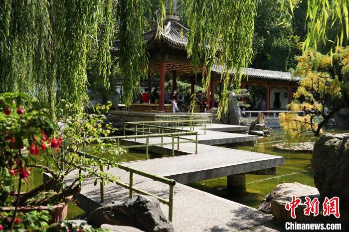 圖為西寧園林植物園秋日風(fēng)景別有韻味?！●R銘言 攝