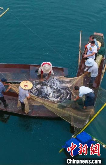 捕魚現(xiàn)場?！≈鬓k方供圖