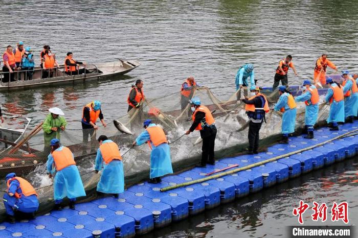 捕撈現(xiàn)場?！≈鬓k方供圖