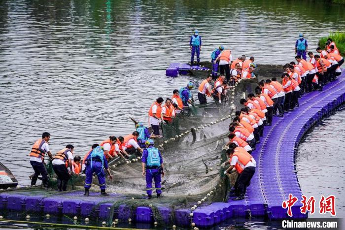 捕撈現(xiàn)場?！≈鬓k方供圖