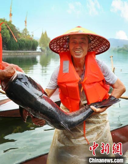 工作人員展示捕撈成果?！≈鬓k方供圖