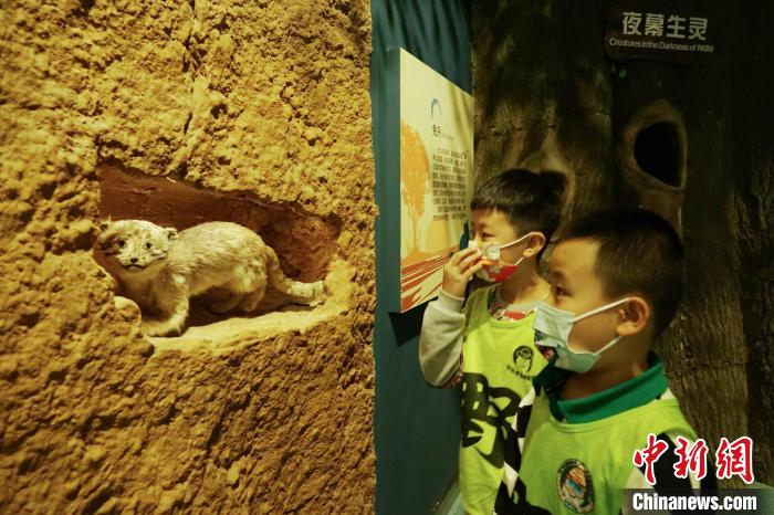 圖為小朋友在青海西寧湟水國(guó)家濕地公園科普館內(nèi)參觀學(xué)習(xí)。　馬銘言 攝