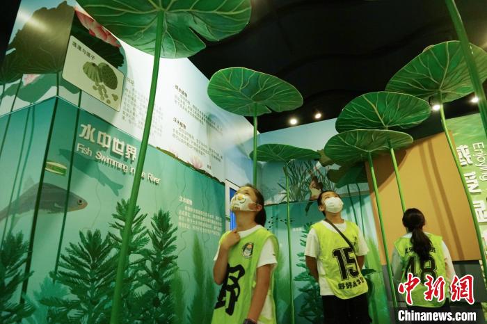 圖為小朋友在青海西寧湟水國(guó)家濕地公園科普館內(nèi)參觀學(xué)習(xí)?！●R銘言 攝