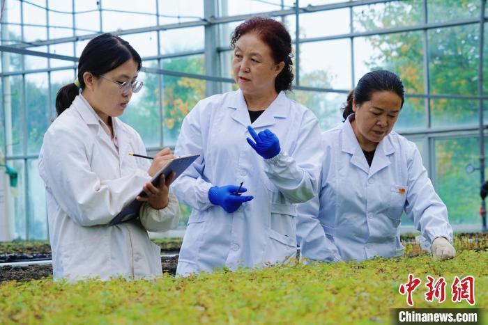 圖為張錦梅(中)與同事在討論數(shù)據(jù)。馬銘言 攝