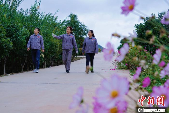 圖為張錦梅(中)與同事在西寧北山查看丁香樹?！●R銘言 攝