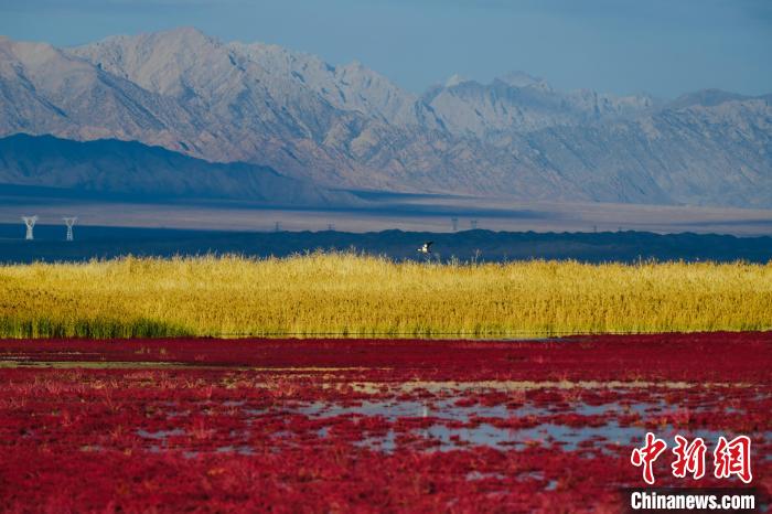 圖為柴達(dá)木盆地可魯克湖?！」?攝