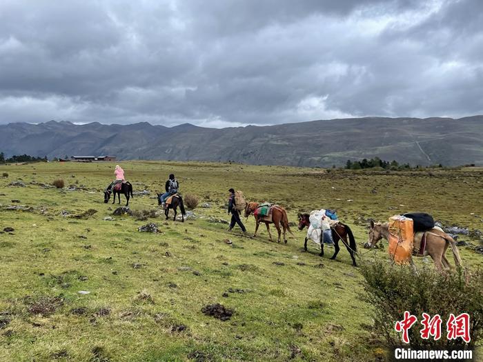 圖為9月26日游客騎馬領(lǐng)略尼汝村高原牧場風(fēng)光。 <a target='_blank' href='/'><p  align=