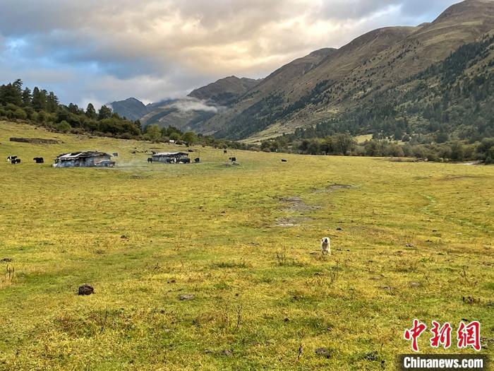 圖為9月27日新沾牧場的早晨景色。 <a target='_blank' href='/'><p  align=