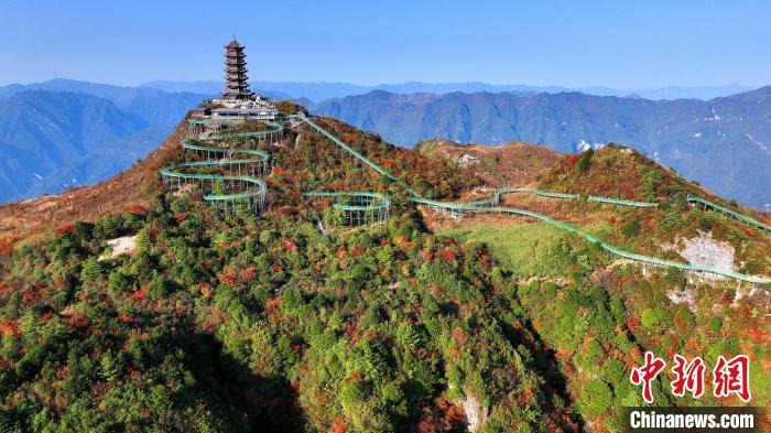 巴山大峽谷彩林迎來最佳觀賞期。　姚盛 攝