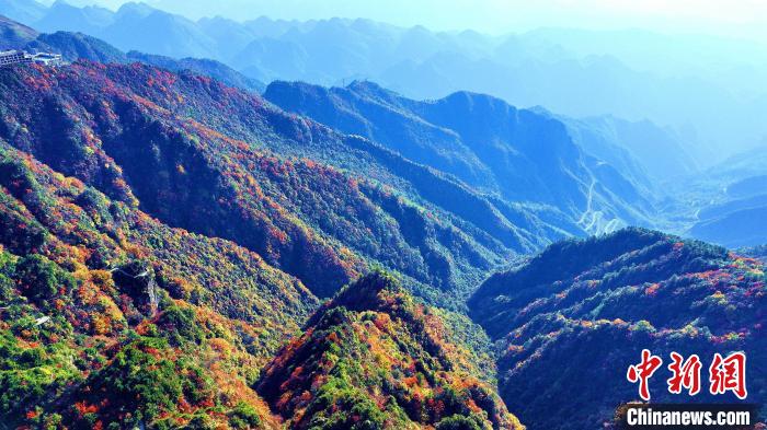 巴山大峽谷彩林迎來最佳觀賞期。　張平 攝