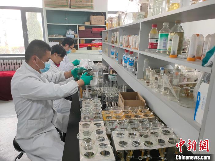 資料圖為研究團(tuán)隊(duì)進(jìn)行樣本檢查?！?青海省畜牧獸醫(yī)科學(xué)院供圖