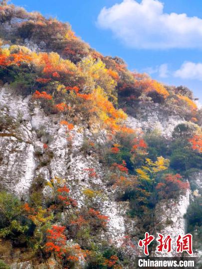 彩林色彩斑斕?！≈炱桨?攝