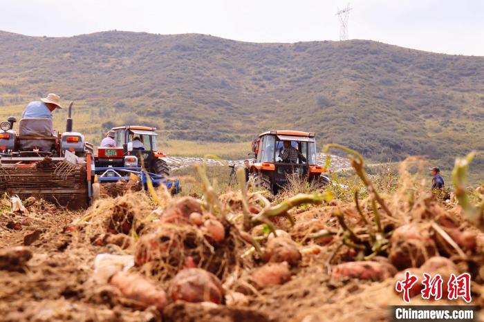 青海東部農(nóng)業(yè)區(qū)：“一分川、一分水、八分山”里“刨金記”
