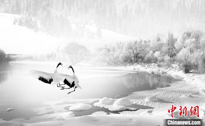 圖為焦生福的作品《鶴嬉雪林》?！∏嗪Ｊ∑钸B山自然保護協(xié)會供圖