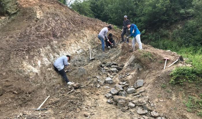 2018年玉海翼角魚野外發(fā)掘采集現(xiàn)場。　蓋志琨 攝