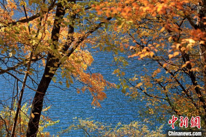 松坪溝風(fēng)光。　劉通 攝